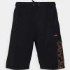 BOSS HEADLO ACTIVE - Sports Shorts - Black